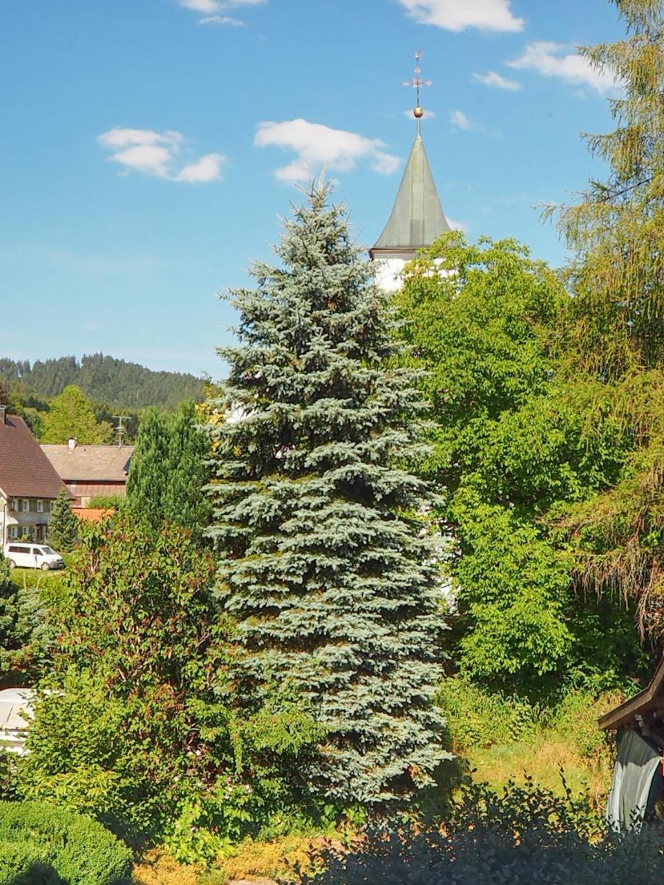 Landgasthof Zum Schwarzen Grat 2*